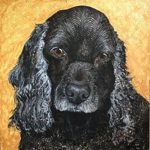 Basia - Crocker Spaniel