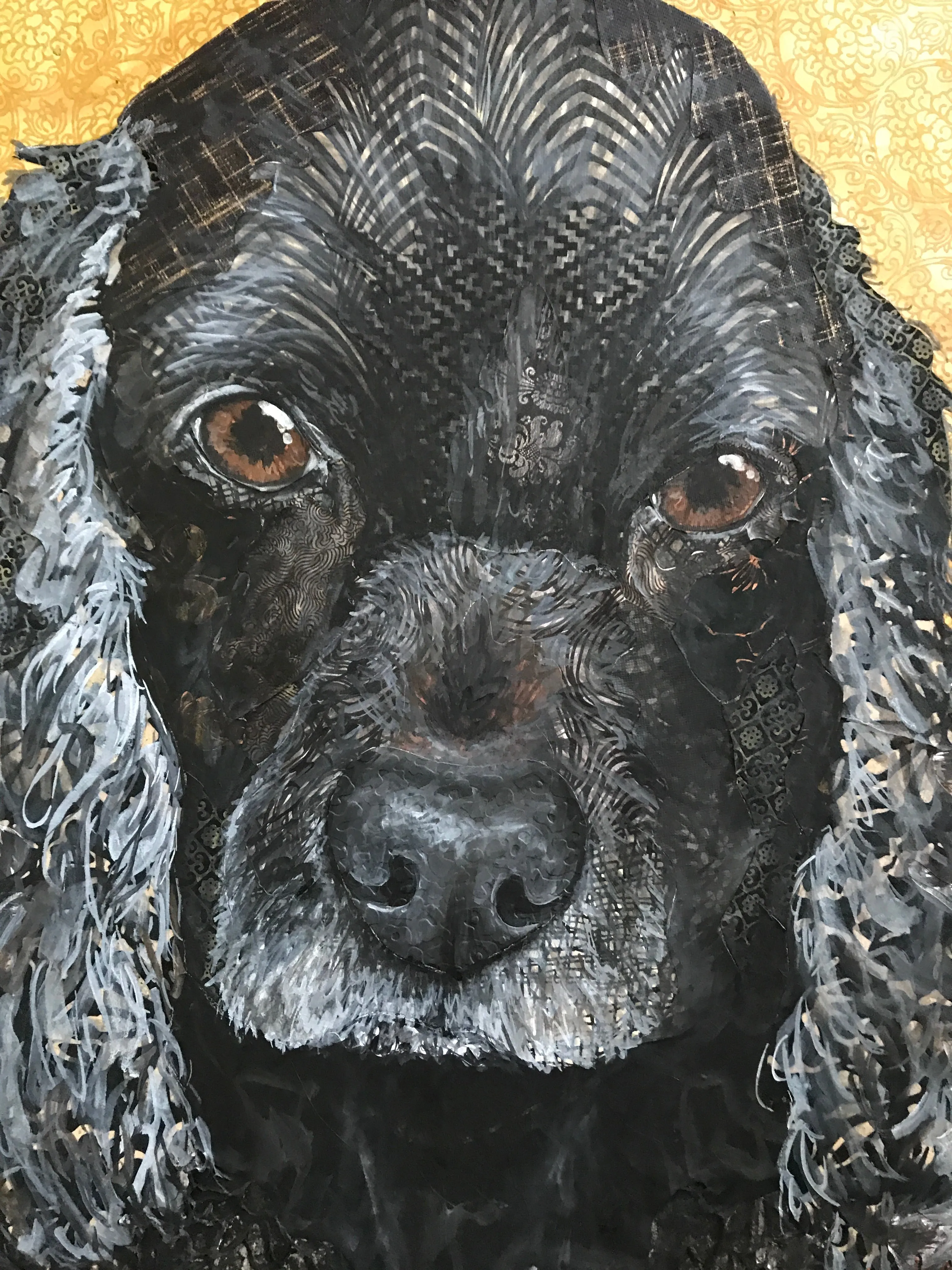 Basia - Crocker Spaniel