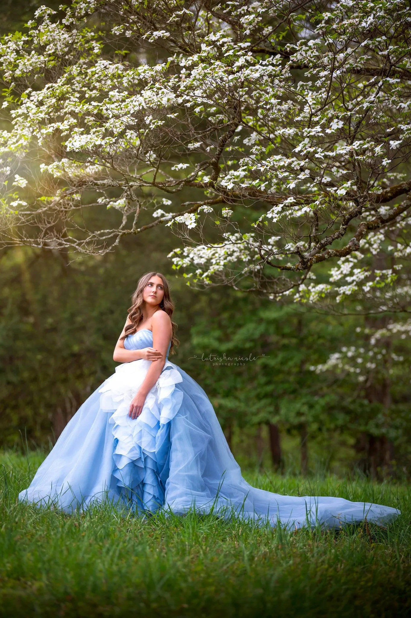 Enchanted in Blue