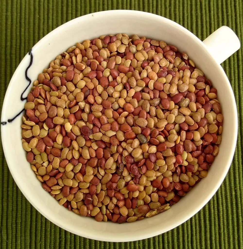 Horse Gram