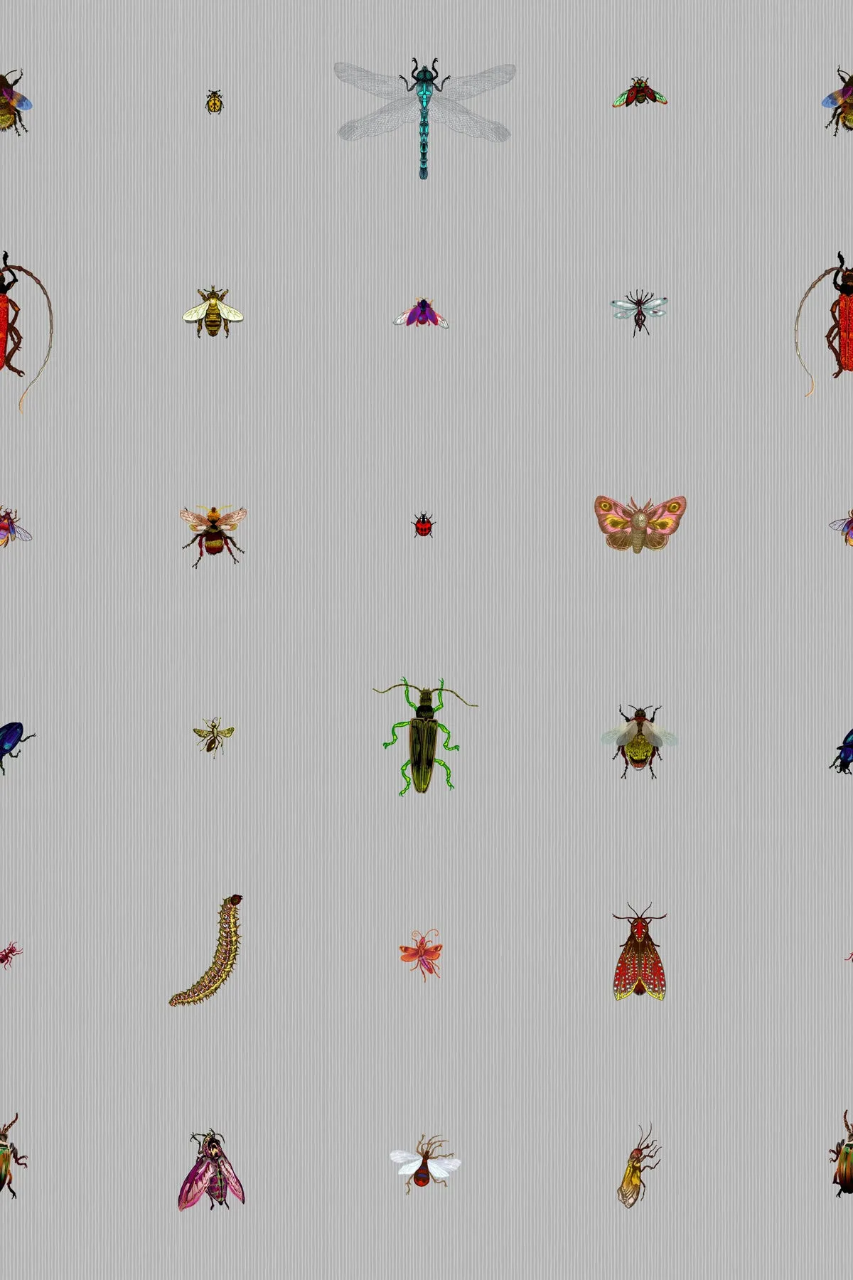 insect grid wallpaper