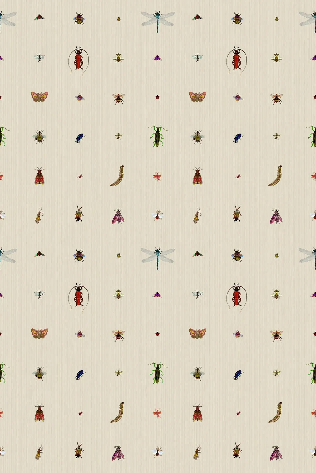 insect grid wallpaper