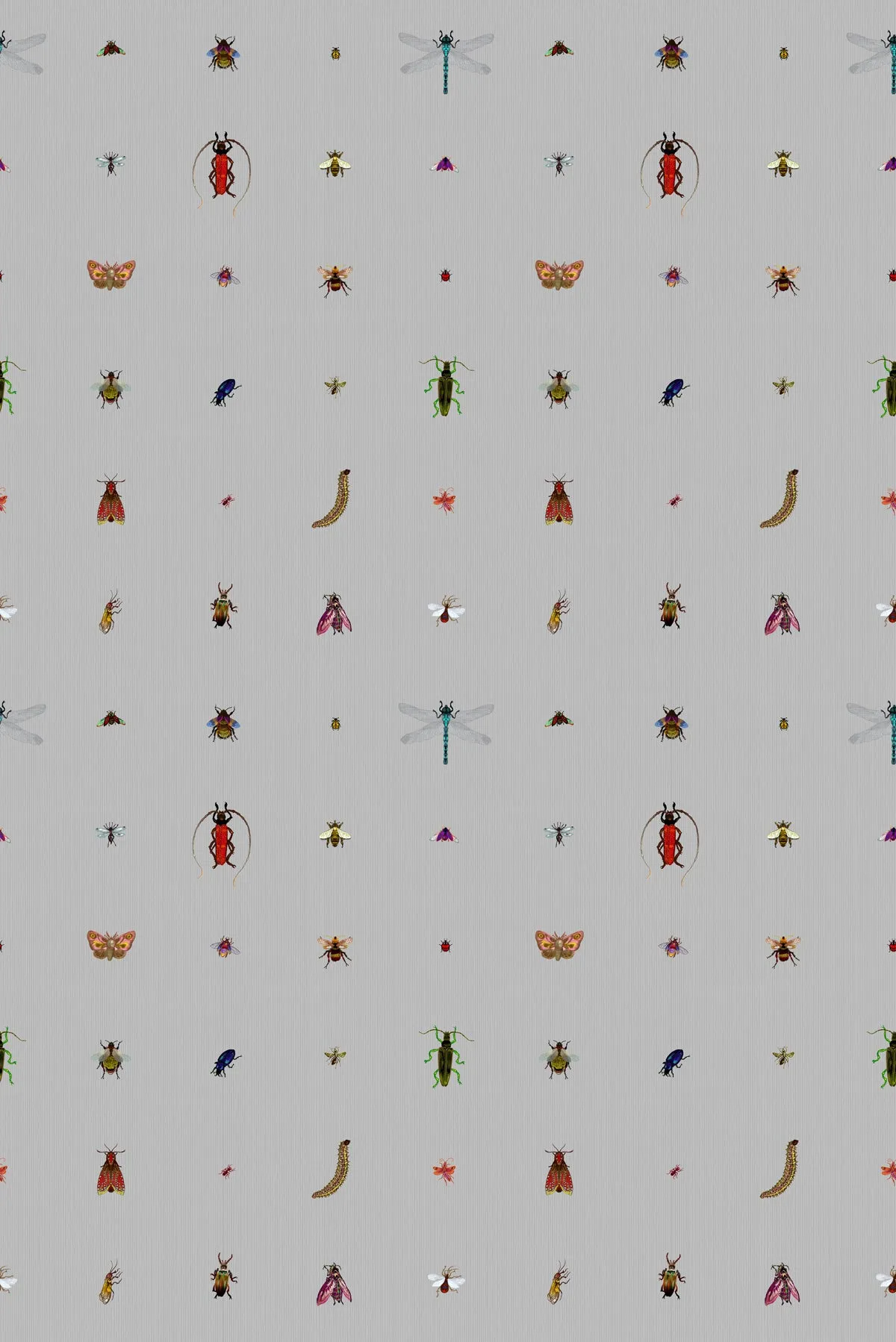 insect grid wallpaper