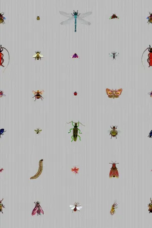 insect grid wallpaper