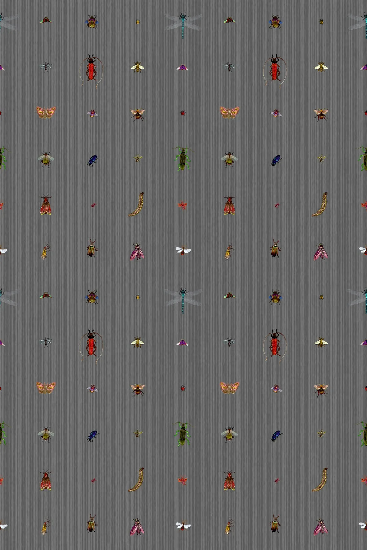insect grid wallpaper