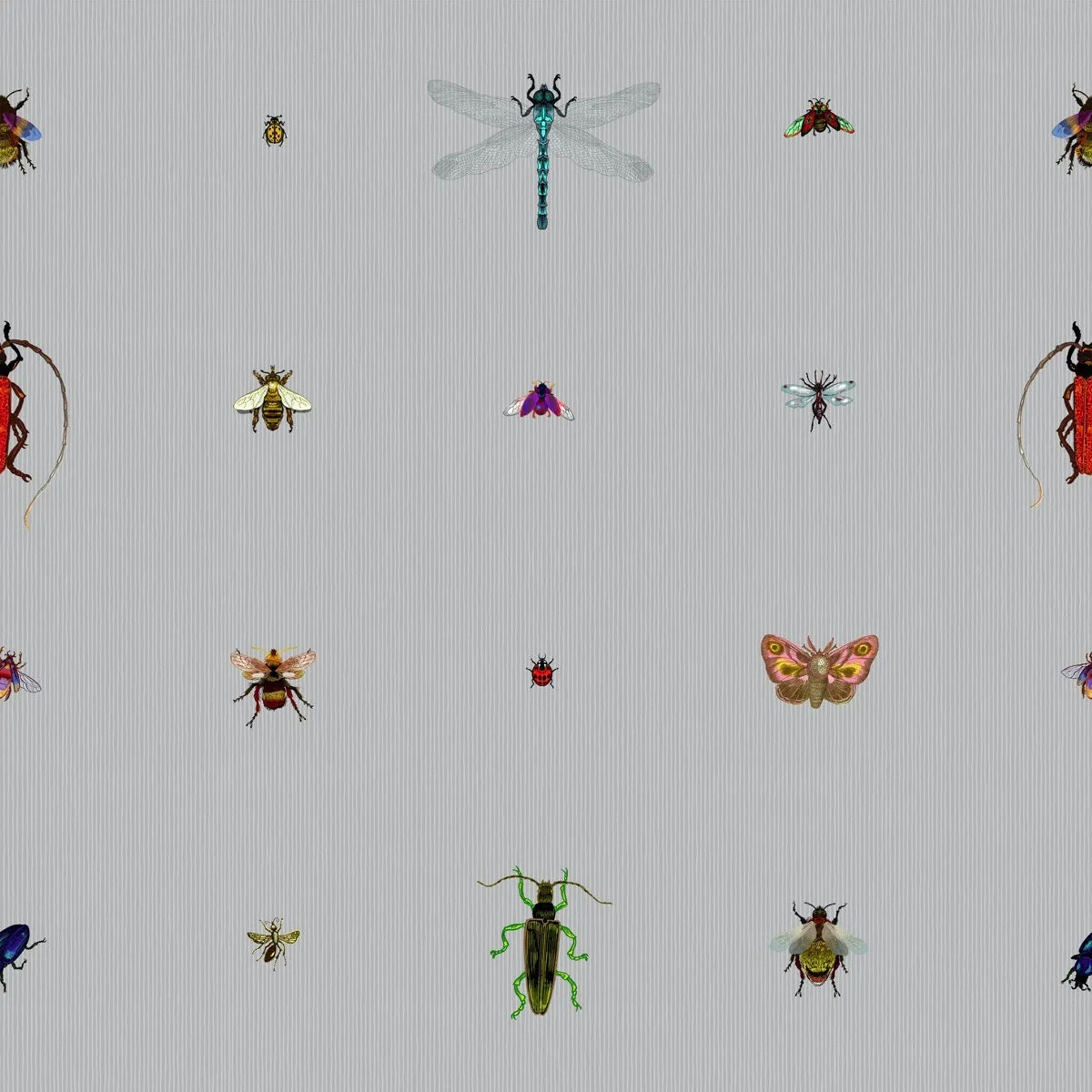 insect grid wallpaper