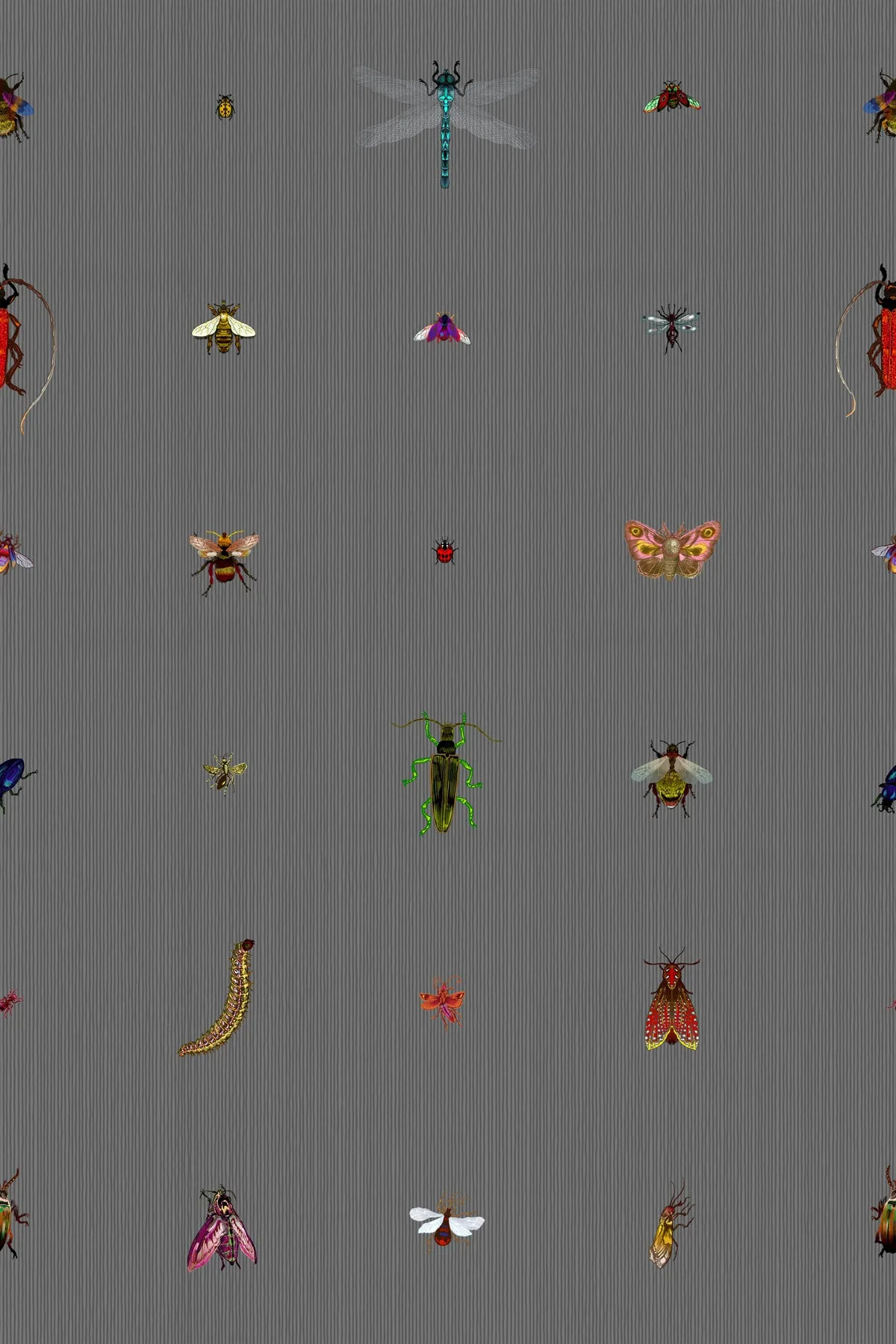 insect grid wallpaper