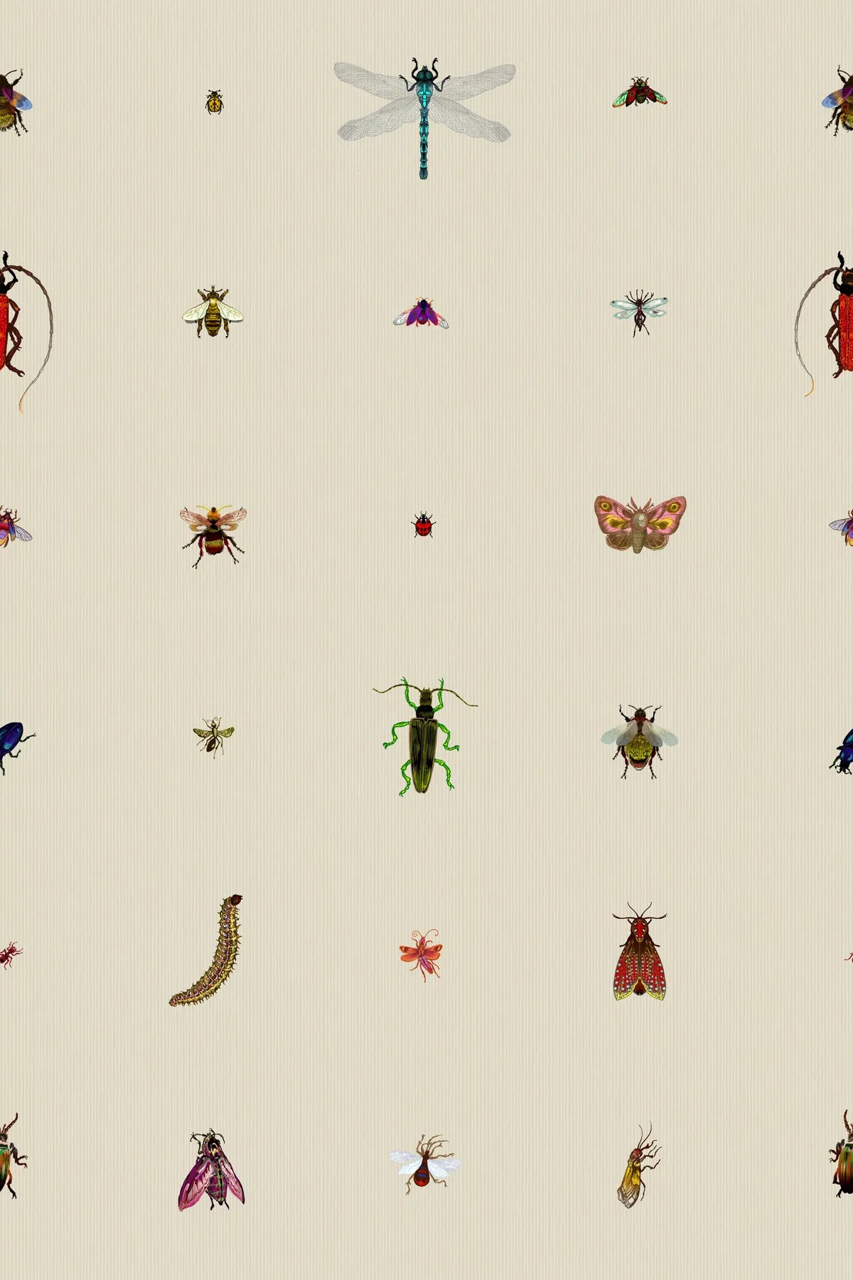 insect grid wallpaper