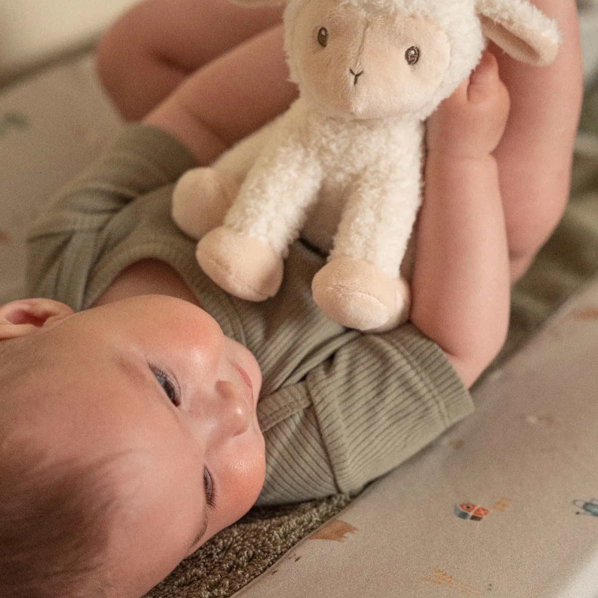 Little Farm Cuddle Sheep Plush 17cm