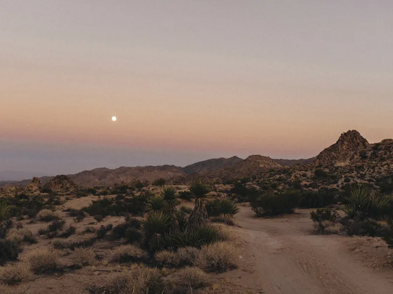 Moon Glow