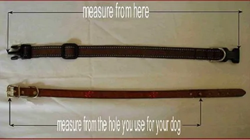 Navajo Beaded Dog Collar