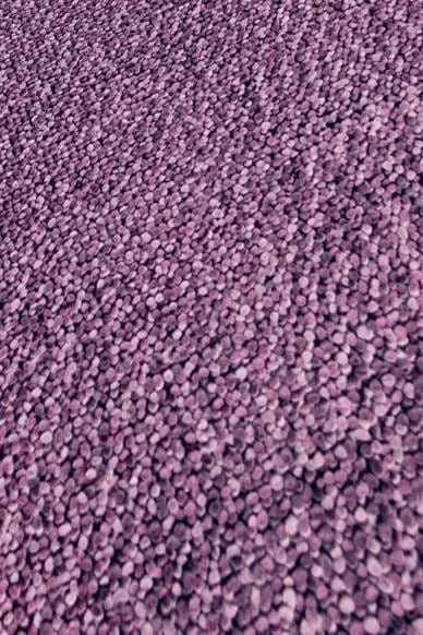 Omega Lilac Sale