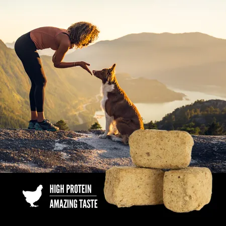 Orijen Freeze Dried Dog Treat