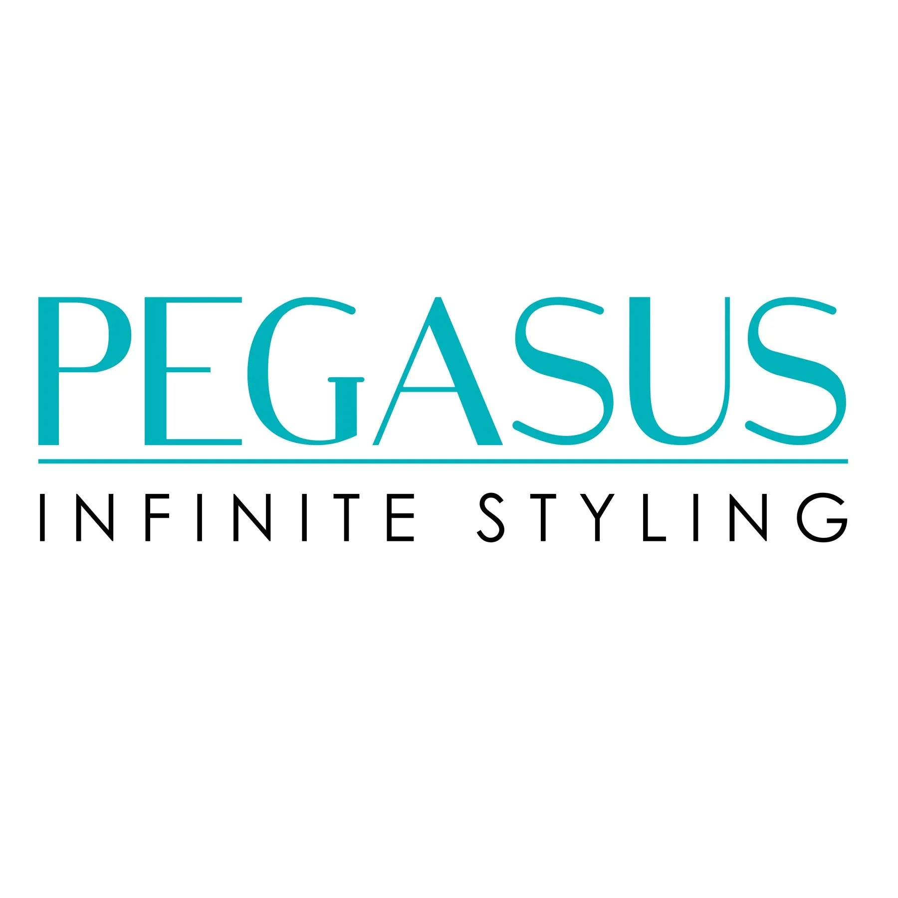 Pegasus 506, 6.5in Hard Rubber Detangling Handled Styling Rake Comb, Seamless, Smooth Edges, Anti Static, Heat and Chemically Resistant, Wet Hair, Everyday Grooming Comb | Peines de goma dura - Black