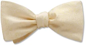 Pembroke Ivory - Dog Bow Ties
