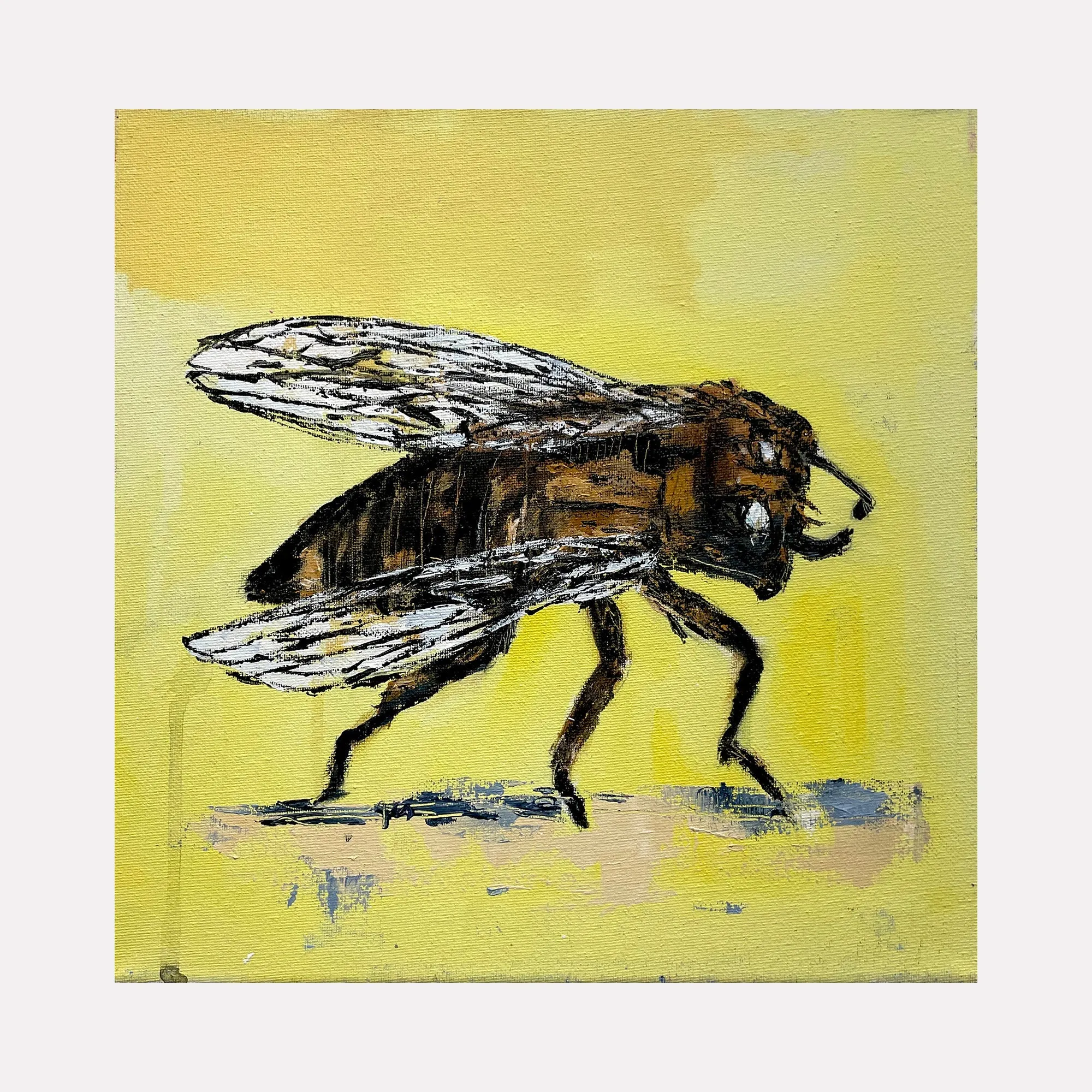 Prehistoric Cicada