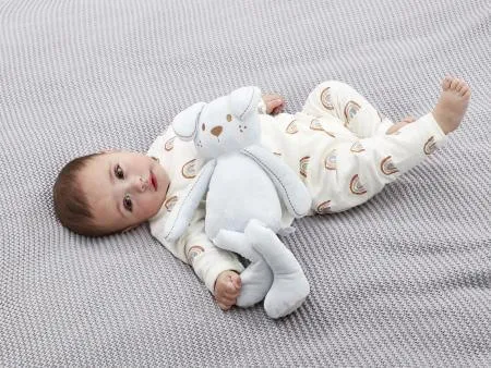 Safe & Soft Puppy Soft Toy
