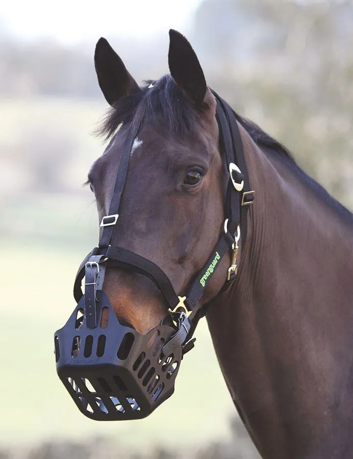 Shires Greenguard Muzzle