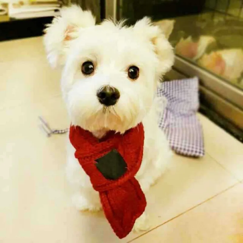 Warm Christmas Scarf  for Pets