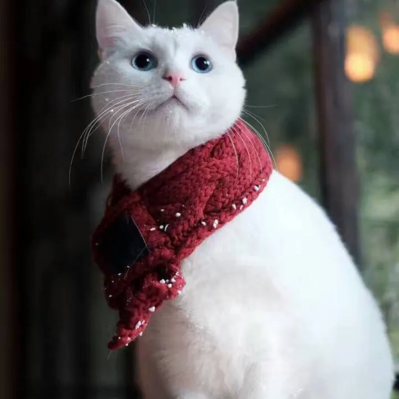 Warm Christmas Scarf  for Pets