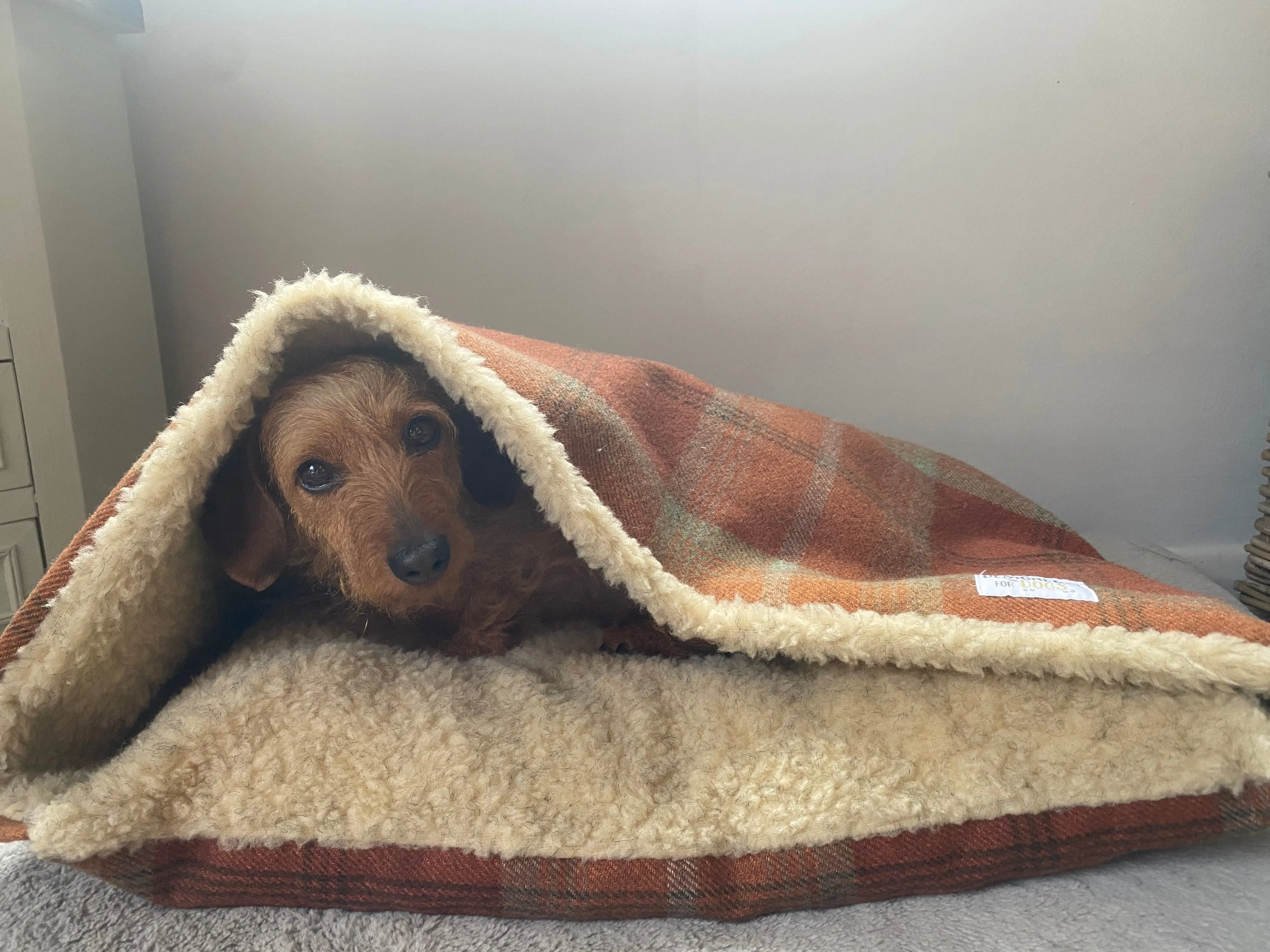 Warm Spice Tartan Doggy Den Bed