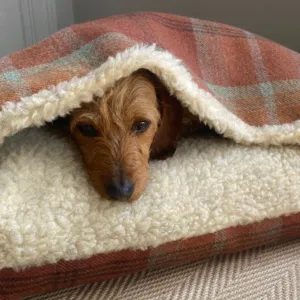 Warm Spice Tartan Doggy Den Bed